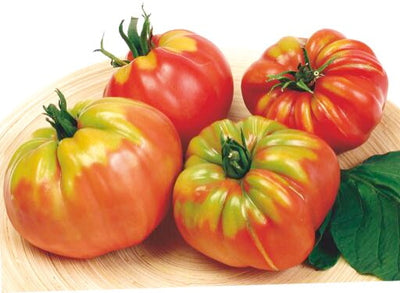 Pomodoro Cuore di Bue - 0,75g