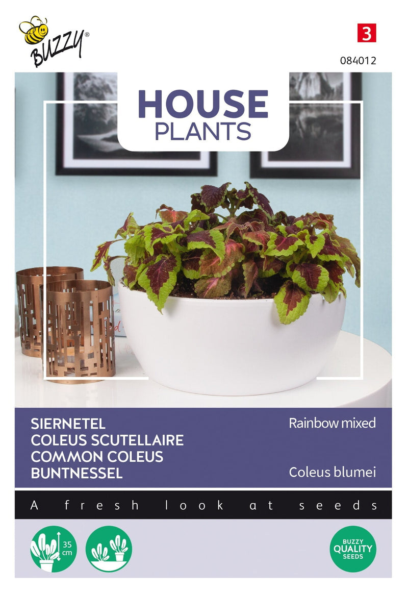 Coleus commun - Mélange arc-en-ciel - 0,25g
