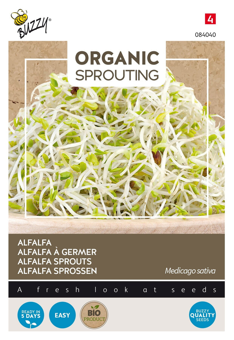 Alfalfa-Sprossen - Bio - 30g