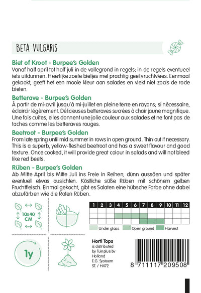 Barbabietola - Burpee's Golden - 2g