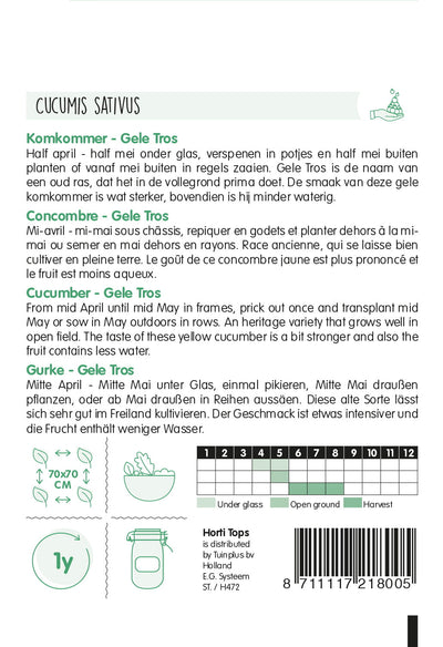 Cucumber - Gele Tros - 20 Semi