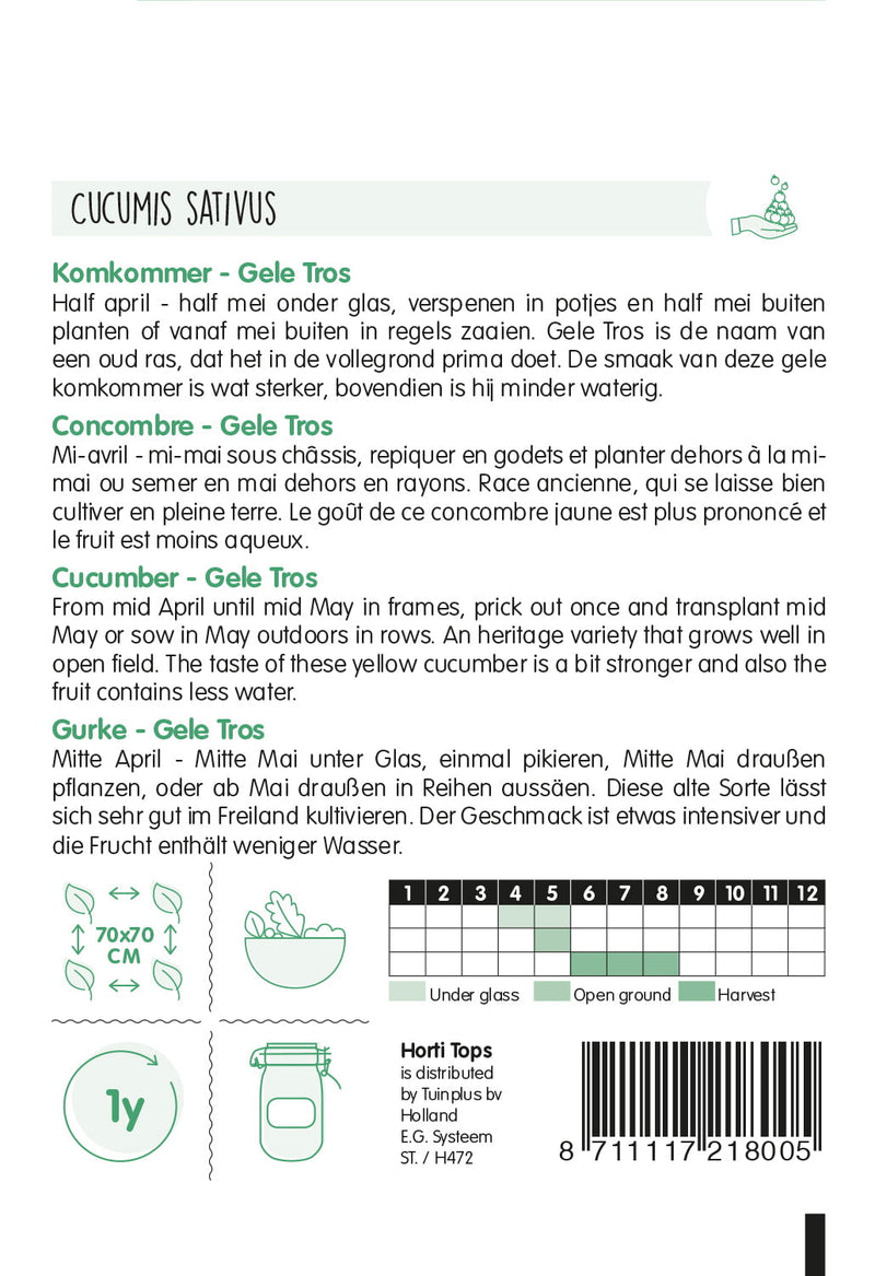 Cucumber - Gele Tros - 20 Semi
