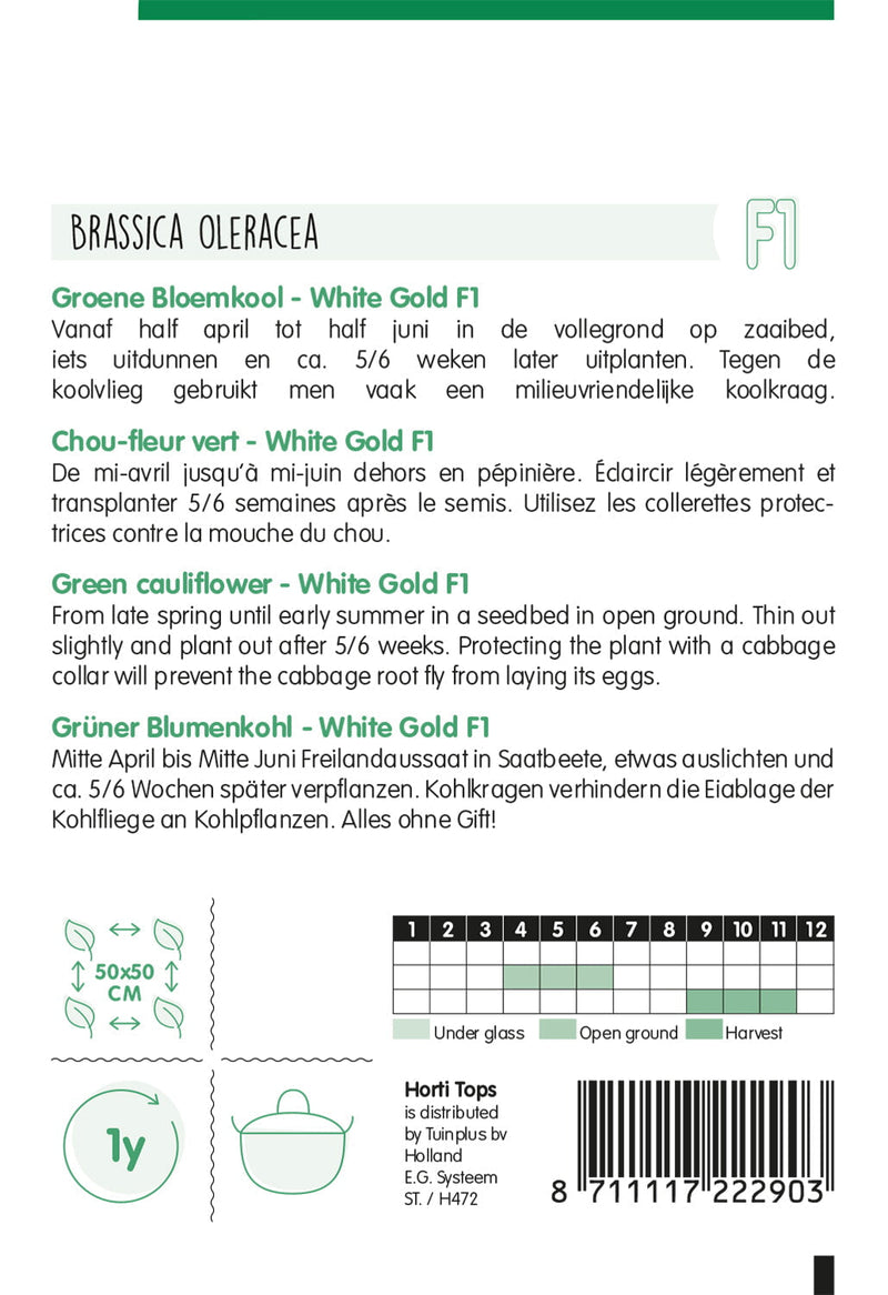 Cavolfiore Verde - White Gold F1 - 30 Semi