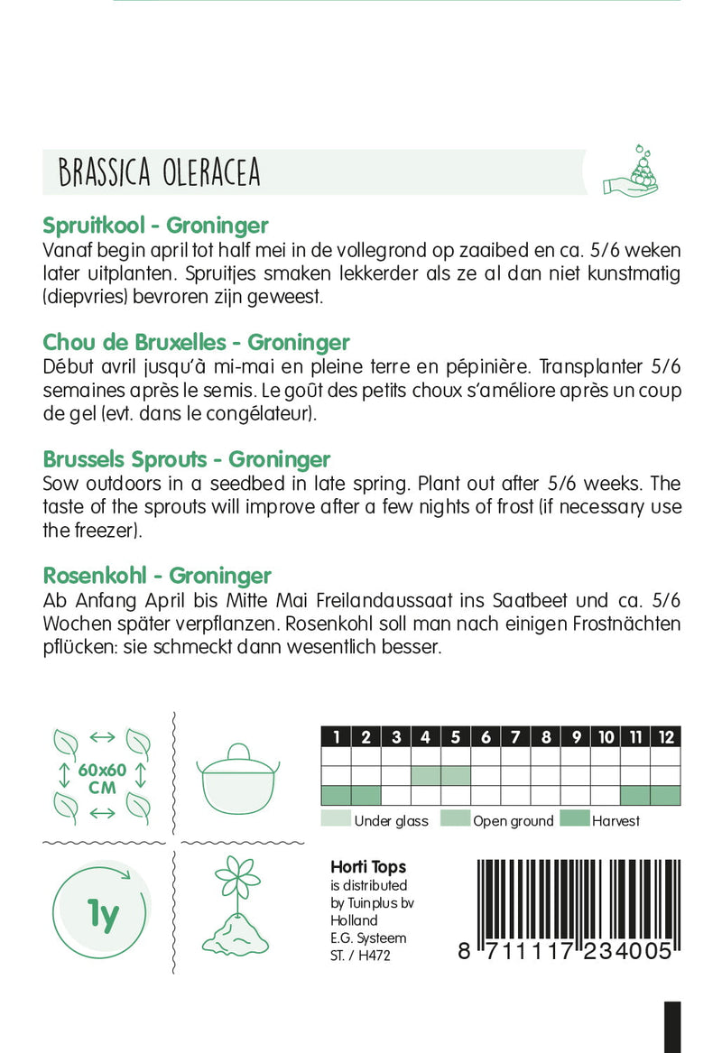 Cavoletti di Bruxelles - Groninger - 2g