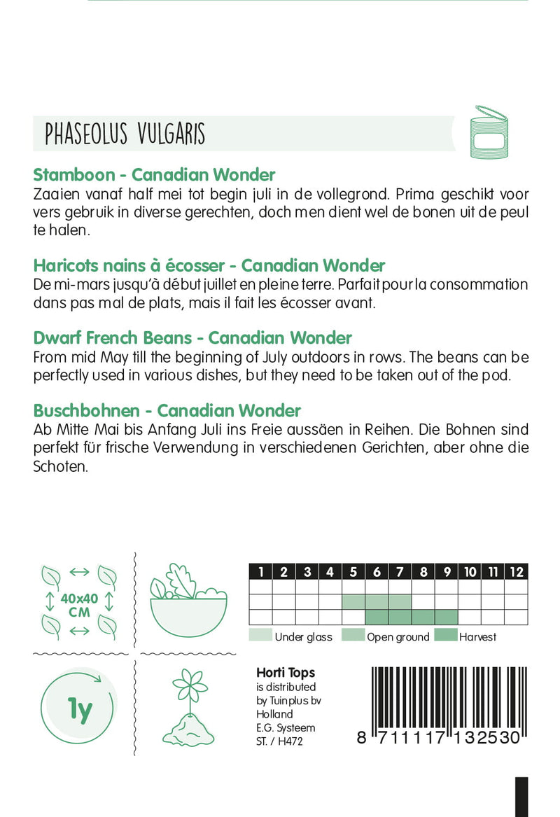 Französische Zwergbohnen - Canadian Wonder - 15g