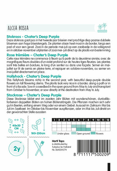 Hibiscus - Chater's Deep Purple - 0,25g