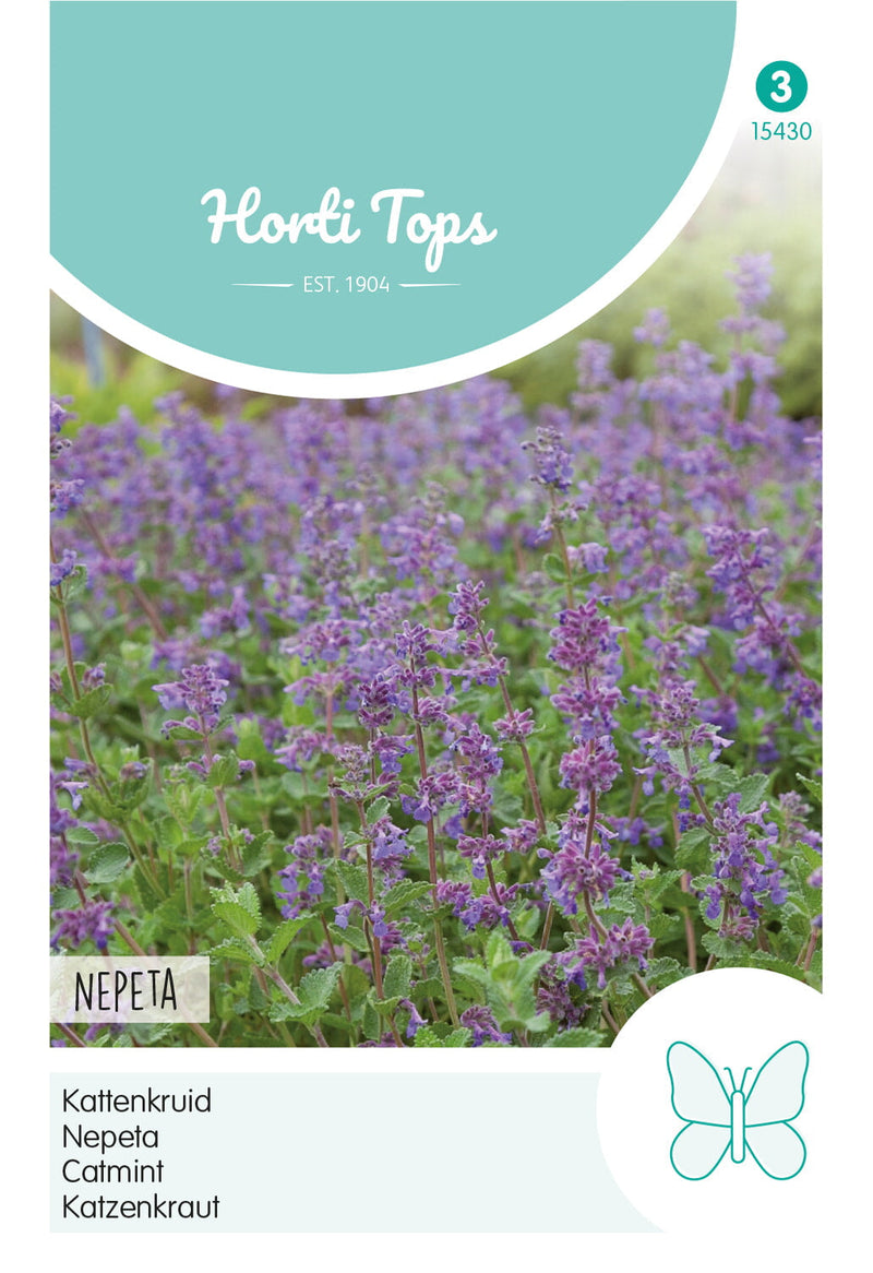 Catnip - Nepeta - 0,25g