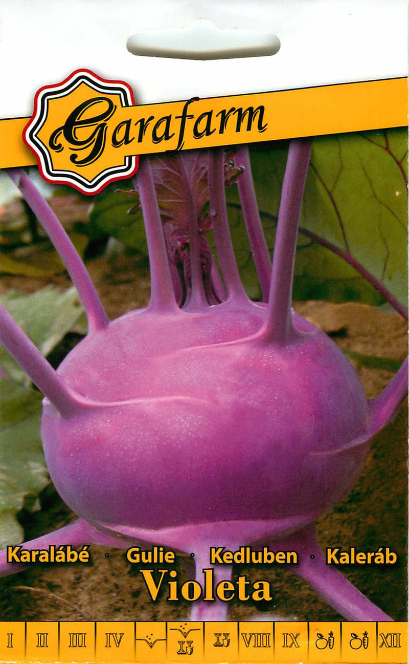Kohlrabi - Violeta - 1g