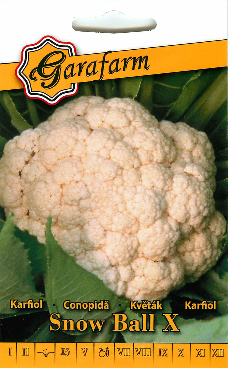 Cavolfiore - Snow ball X - 1g
