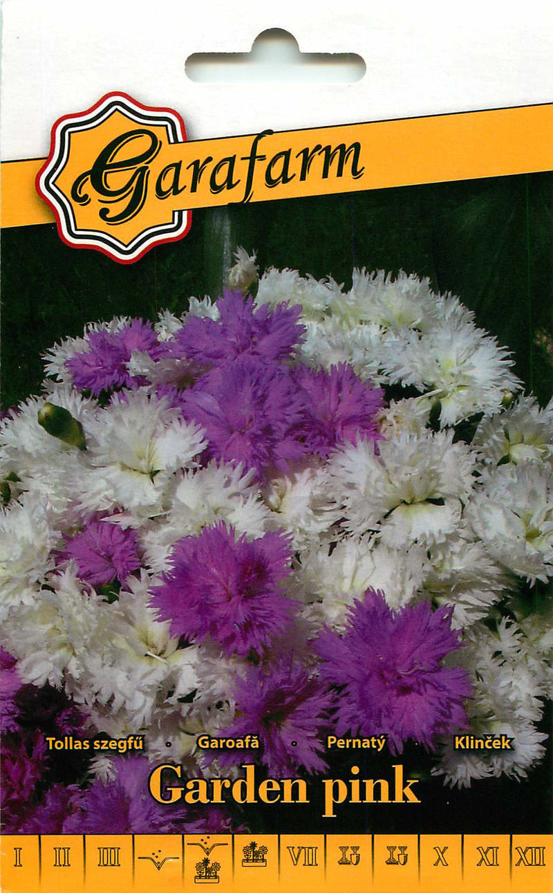 Nelke - Garten-Nelke - 0,3g