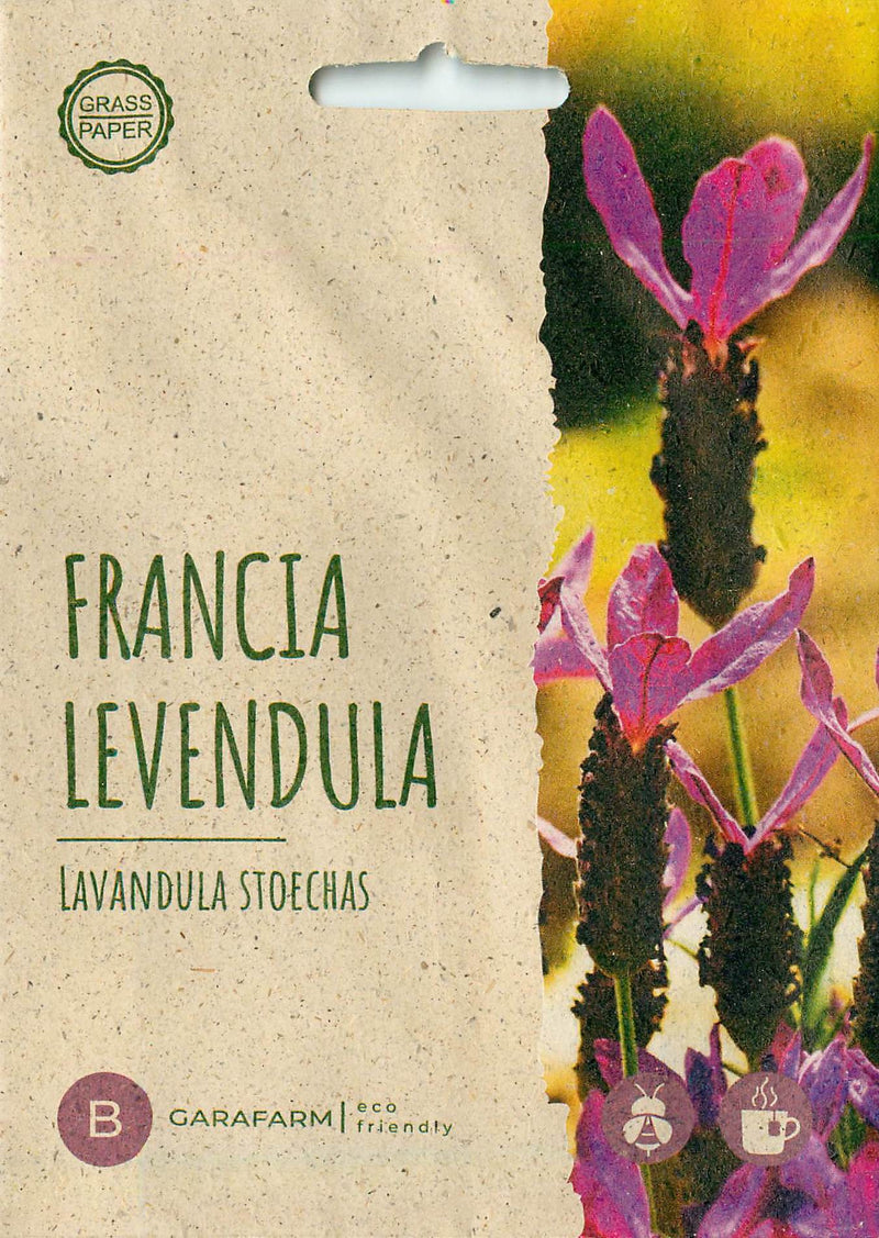 Lavanda Francesa - Bandera Rosa Profunda - 10 Semillas