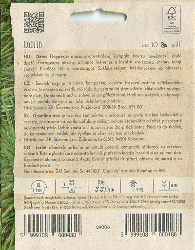 Blue Hair Grass - Coolio - 10 Semințe