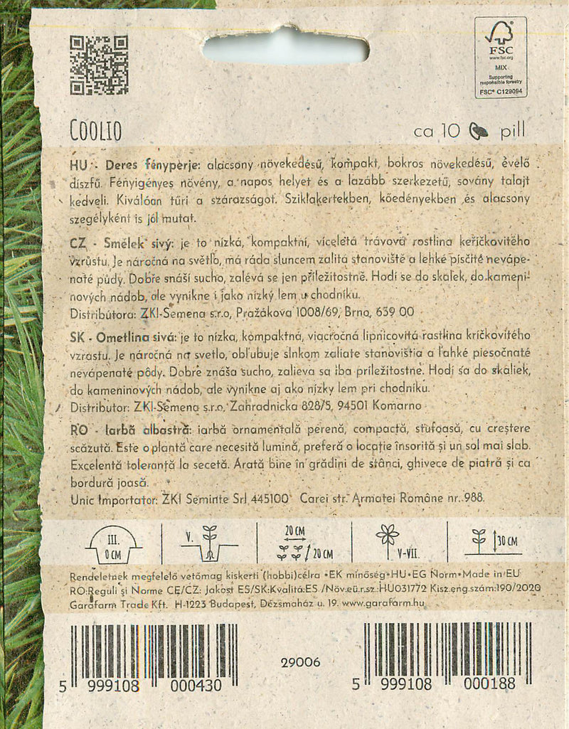 Blue Hair Grass - Coolio - 10 Semințe