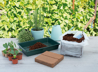 Tabletă de sol de cocos - 10L