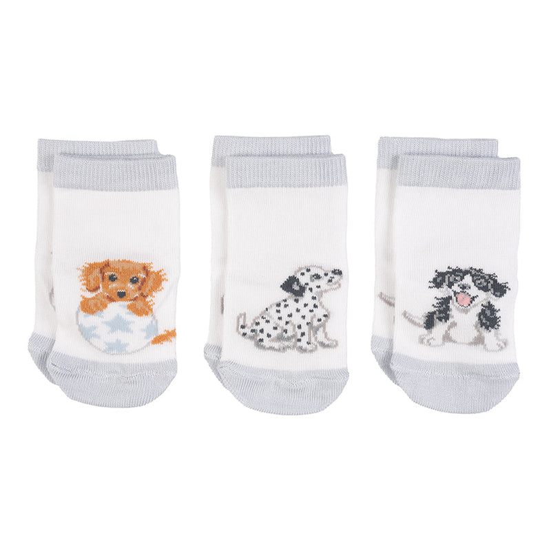 Baby-Socken - Kleine Pfoten - 0-6 Monate